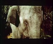 Tarzana, the Wild Woman (1969) - Preview Trailer from hollywood blue film tarzana x video