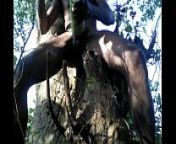 Tarzan Boy Sex In The Forest Wood (Short) from village sex video jungle gay rape