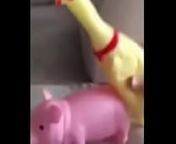 A Peppa Pig CAIU NA NET ! Whatsapp Videos Engra&ccedil;ados 2015 from new whatsapp funny deaf video sex caily