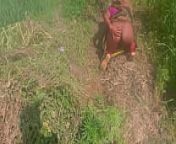 गेहूँ के खेत मे रगड़ के चोद देहाती विडियो from haryanvi dehati chudai khet me