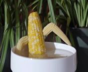 hot steamy hardcore corn from 丝袜制造♛㍧☑【破解版jusege9•com】聚色阁☦️㋇☓•63gm