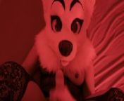Dogs in heat from raec gurramndian sexy package mobil video