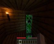 Getting Fucked by a Creeper in Minecraft 12: Beach House from 12 beach second lovers fucking outdor in sex video