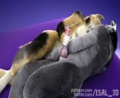 Female wolf give handjob HD by ISAL_3D from the bong collection