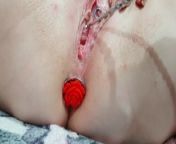 Urethral sounding pussy with butt plug from 澳门皇冠开头的影片qs2100 cc澳门皇冠开头的影片 gds