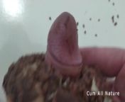 fuck a donnet from kartik aryan nude penis picsalashri sex nude photos