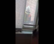 Flashed Tits to Construction Workers in My Window from leicht perlig topless nipple play video leaked mp4
