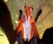 Grab Her by the Tail and Fuck Her in the Ass with BBC Furry Fox Yiff 3D PoV Hentai from 3d sex fox